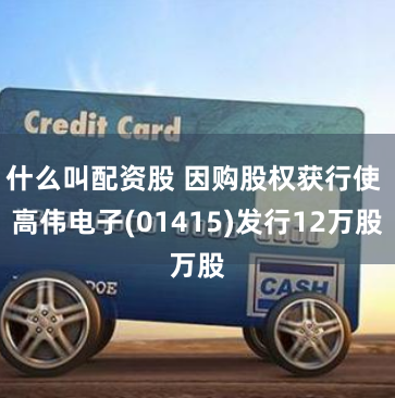 什么叫配资股 因购股权获行使 高伟电子(01415)发行12万股