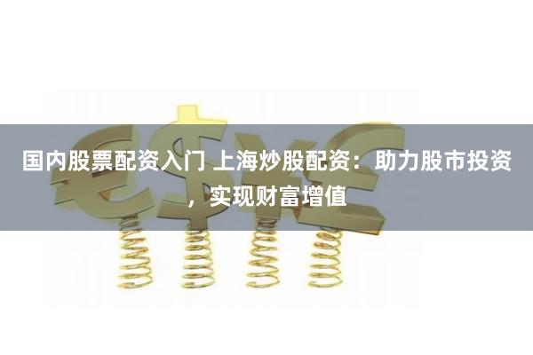 国内股票配资入门 上海炒股配资：助力股市投资，实现财富增值