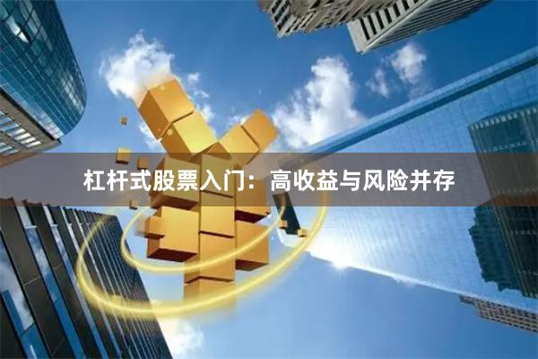杠杆式股票入门：高收益与风险并存