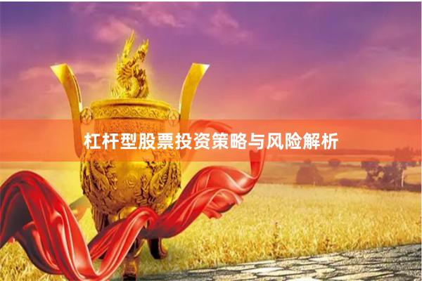 杠杆型股票投资策略与风险解析