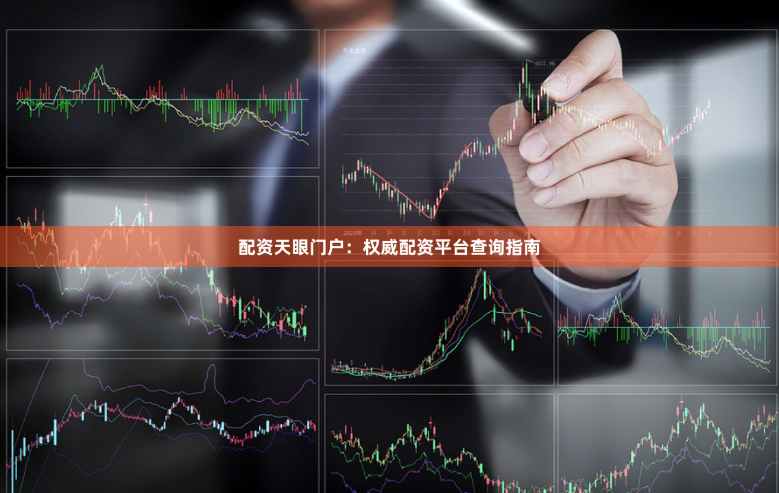 配资天眼门户：权威配资平台查询指南